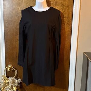 Elegant Black Long Sleeve Dress Zara